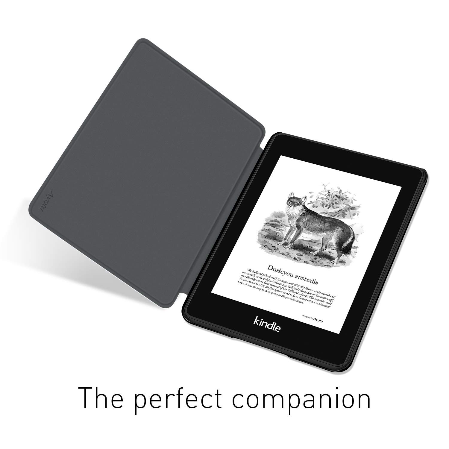 สําหรับ Kindle Paperwhite 5/6/ - Kindle Tablet Accessories บทวิจารณ์และราคา